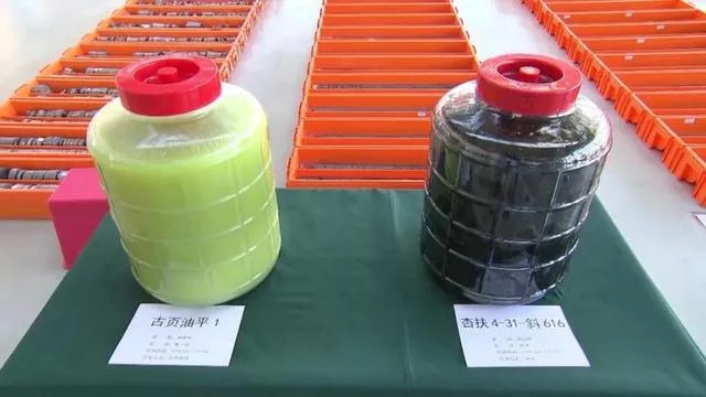 这个扫黑风暴里的蝼蚁,真实得像对现实低头的我们休闲区蓝鸢梦想 - Www.slyday.coM 这个扫黑风暴里的蝼蚁,真实得像对现实低头的我们休闲区蓝鸢梦想 - Www.slyday.coM