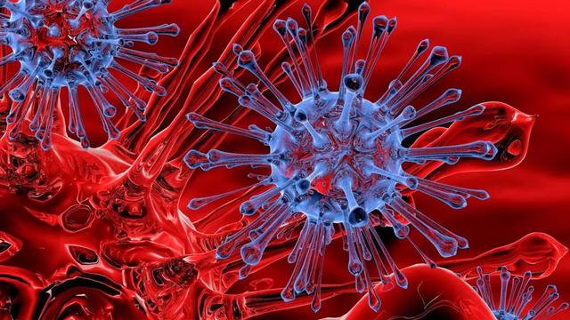 上海现奥密克戎感染者!被流调,别慌!沪重要提醒!通风!一米线!休闲区蓝鸢梦想 - Www.slyday.coM 上海现奥密克戎感染者!被流调,别慌!沪重要提醒!通风!一米线!休闲区蓝鸢梦想 - Www.slyday.coM