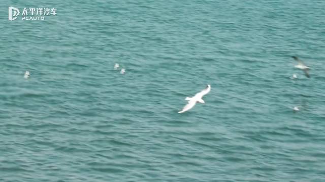 终结GL8时代？2026款岚图梦想家800V+5C超快充+华为ADS4，重新定义豪华MPV！