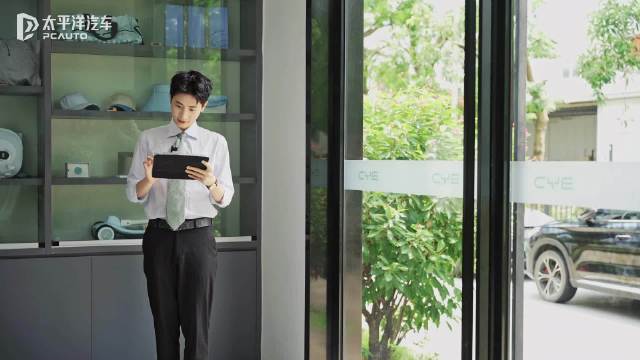 为什么它能成为比亚迪的销冠王？疯狂销售评海鸥