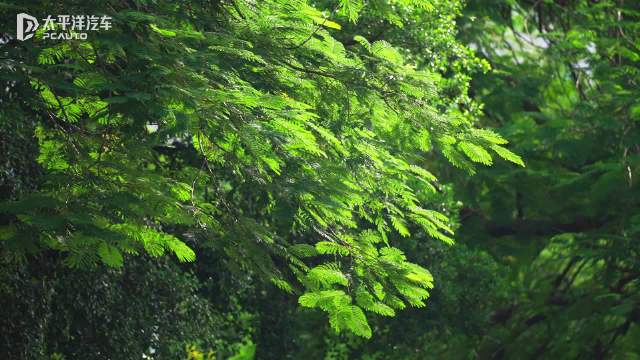 新一代智己LS6，我的周末“神仙搭子”