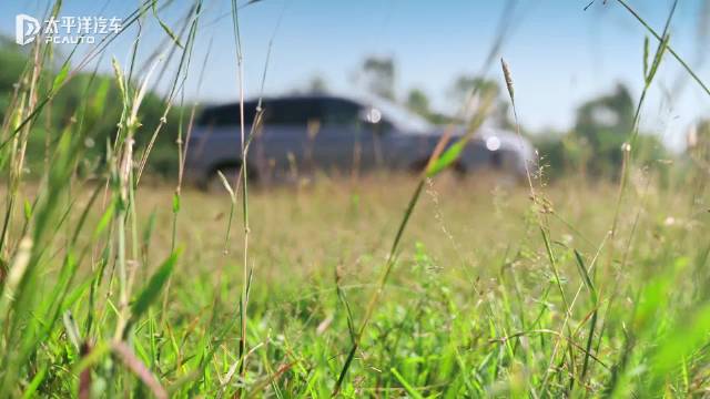 零甲醛，全家都放心