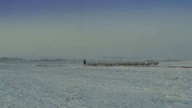 林青霞秦汉主演《滚滚红尘》获金马奖七项大奖，演绎战火中的爱情