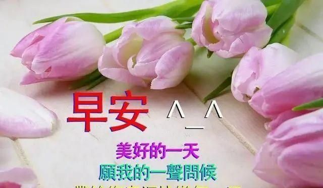 8张有创意的朋友早上好免打字图片带祝福语 温馨春天早安问候图片