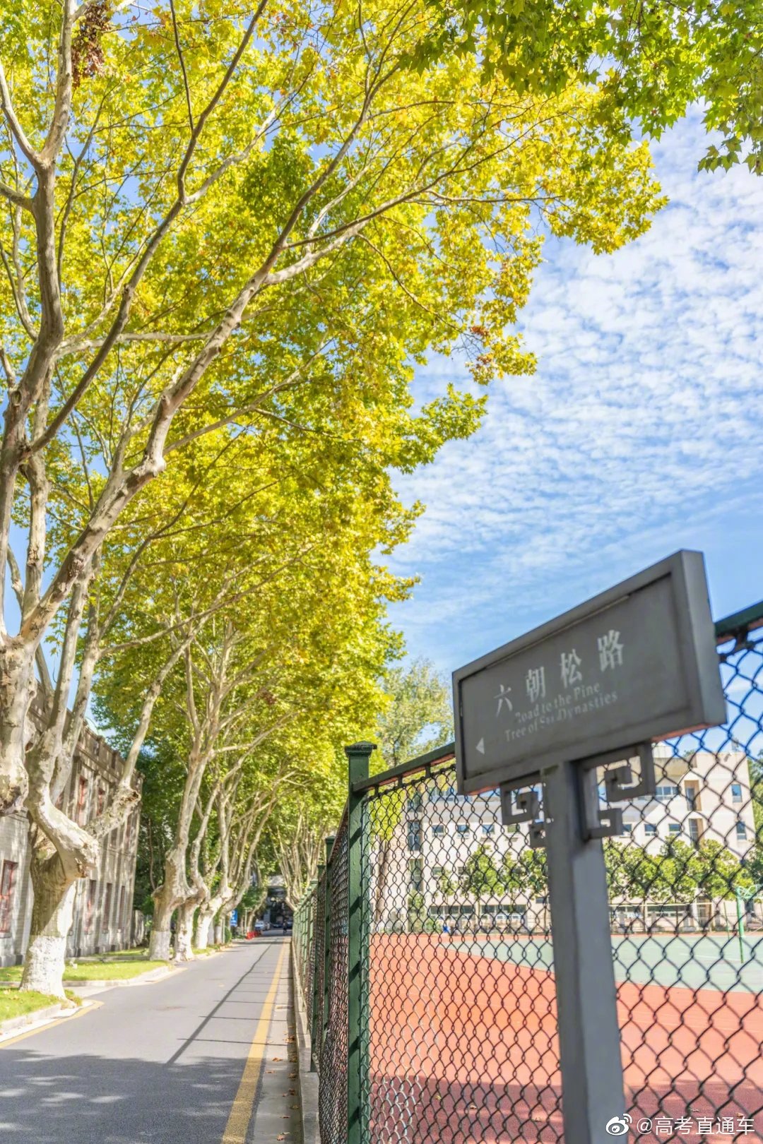 校园风景东南大学