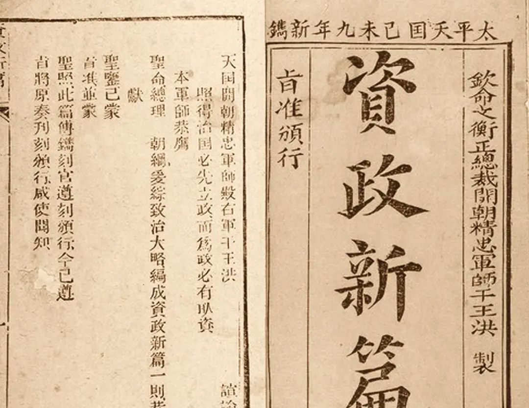 表面上一夫一妻的动物，到底有多混乱？它们能经受住交...