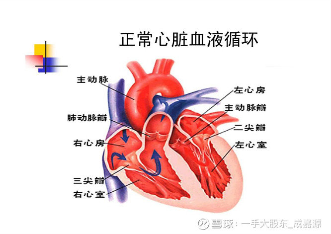 fd11-e7450f9f0d3a30991286021c2b3e8df9.jpg
