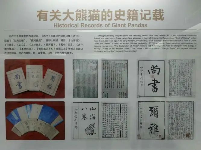 露丝哈克尼斯:2次来中国,偷运2只熊猫幼崽,却成西方带出熊猫第一人休闲区蓝鸢梦想 - Www.slyday.coM 露丝哈克尼斯:2次来中国,偷运2只熊猫幼崽,却成西方带出熊猫第一人休闲区蓝鸢梦想 - Www.slyday.coM