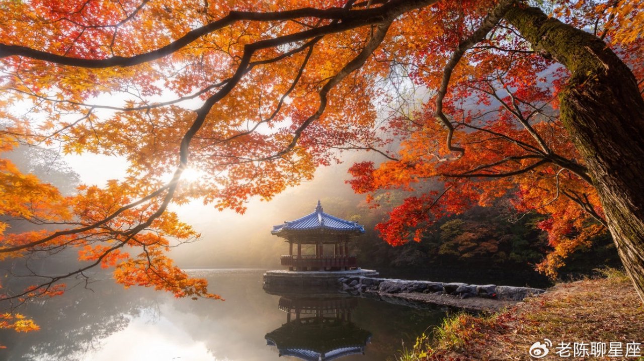 从10月21日开始,生活状态变得不一样了,因为这四大星座的好运来喽 从10月21日开始,生活状态变得不一样了,因为这四大星座的好运来喽