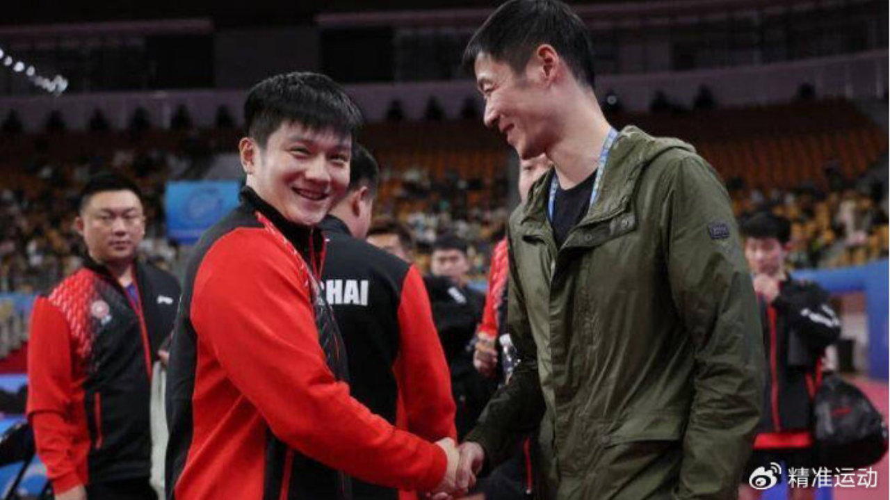 王励勤的忧虑，唯有樊振东能解良方