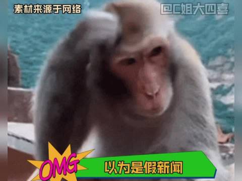 你一块我一块，行走的切尔诺贝利核电站