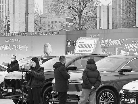 2025菏泽冬季汽车惠民展落幕