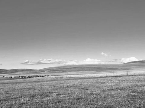 发现禁牧并非“时间越长越好”