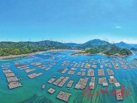 九部门联手　助“一条鱼”游出大产业