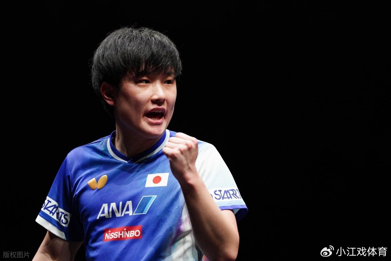 愤怒！张本智和错误言论曝光，球迷:严重挑衅，无条件捍卫国家主权