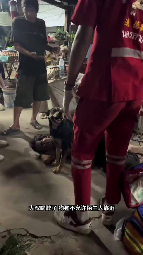 它做不了那么多判断 只知道保护主人