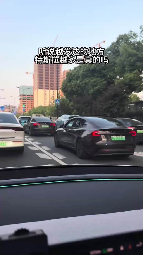 路上全是特斯拉