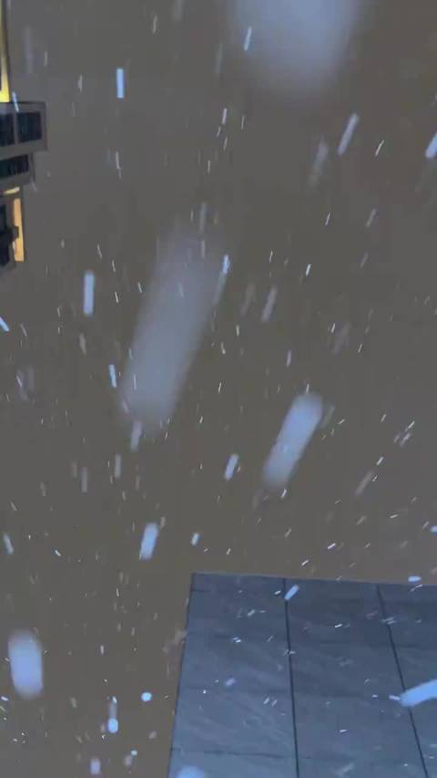 见到真正的雪了！ 张函瑞、左奇函、陈奕恒、陈思罕