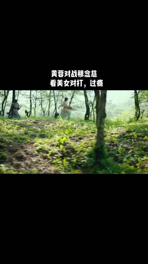 黄蓉对战穆念慈，看美女对打，过瘾