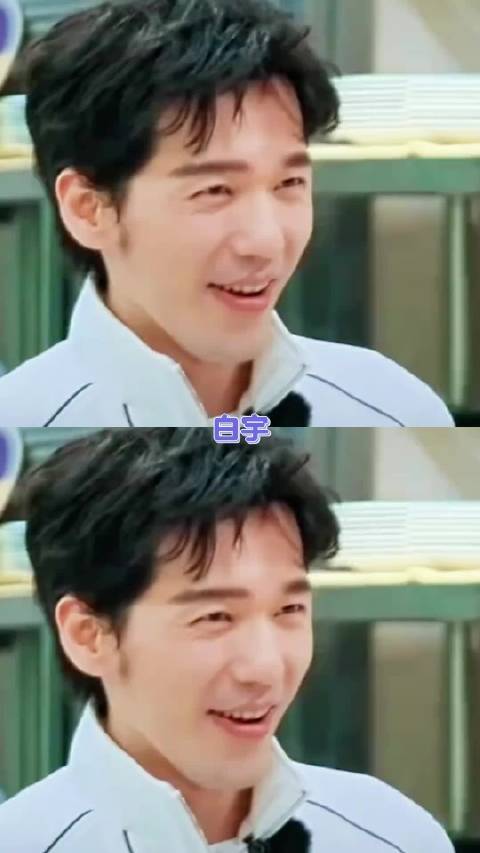 白宇身上的那种不可言说的感觉，我愿称之为熟男感