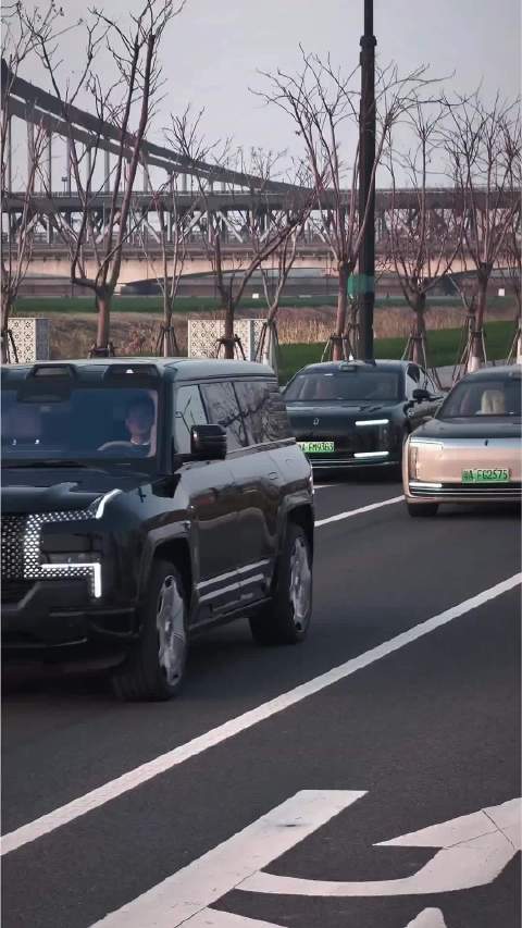 国产车哪家好尊界S800 仰望u8  记录真实生活 华尊会