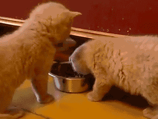 一个公式预测“冠心病”风险,来自权威心脏病专家的推荐休闲区蓝鸢梦想 - Www.slyday.coM 一个公式预测“冠心病”风险,来自权威心脏病专家的推荐休闲区蓝鸢梦想 - Www.slyday.coM