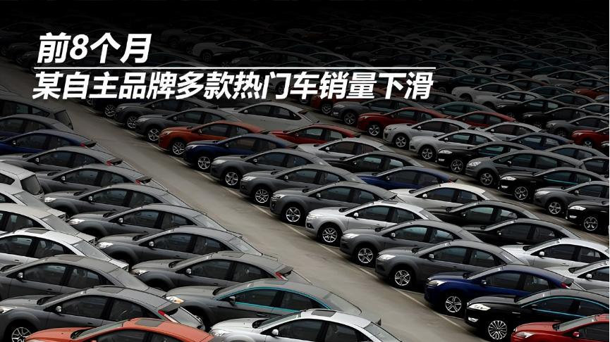 前8个月，某自主品牌多款热门车销量下滑