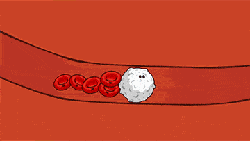 一个公式预测“冠心病”风险,来自权威心脏病专家的推荐休闲区蓝鸢梦想 - Www.slyday.coM 一个公式预测“冠心病”风险,来自权威心脏病专家的推荐休闲区蓝鸢梦想 - Www.slyday.coM