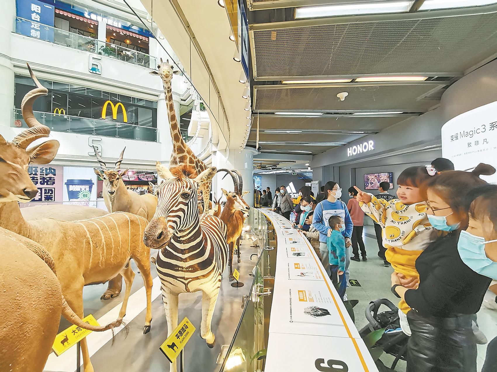 “野性城市”里看动物大迁徙 全新升级“非洲动物标本展”亮相广州正佳广场休闲区蓝鸢梦想 - Www.slyday.coM “野性城市”里看动物大迁徙 全新升级“非洲动物标本展”亮相广州正佳广场休闲区蓝鸢梦想 - Www.slyday.coM