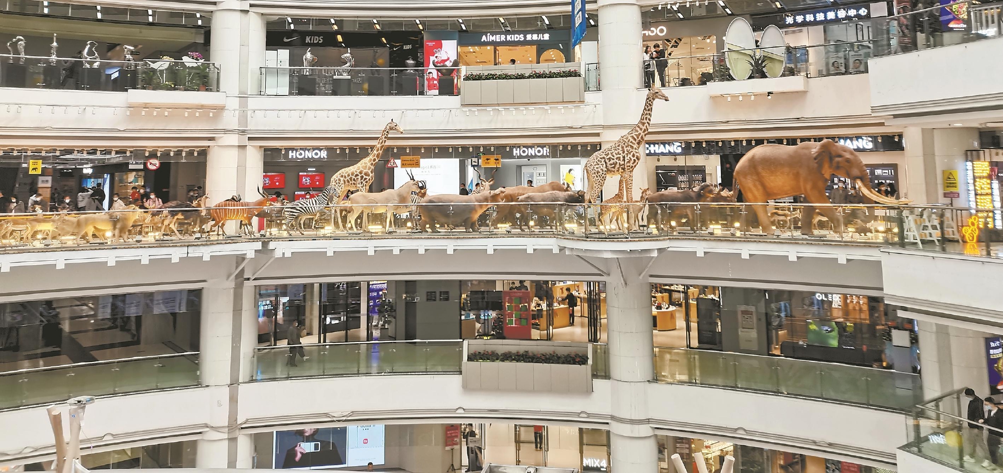 “野性城市”里看动物大迁徙 全新升级“非洲动物标本展”亮相广州正佳广场休闲区蓝鸢梦想 - Www.slyday.coM “野性城市”里看动物大迁徙 全新升级“非洲动物标本展”亮相广州正佳广场休闲区蓝鸢梦想 - Www.slyday.coM