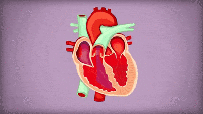 一个公式预测“冠心病”风险,来自权威心脏病专家的推荐休闲区蓝鸢梦想 - Www.slyday.coM 一个公式预测“冠心病”风险,来自权威心脏病专家的推荐休闲区蓝鸢梦想 - Www.slyday.coM