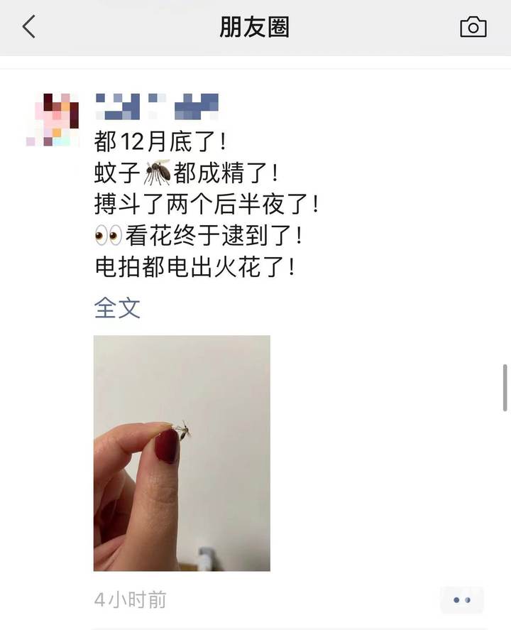 杭州下雪了?保安说早上看到市区飘了几粒雪……休闲区蓝鸢梦想 - Www.slyday.coM 杭州下雪了?保安说早上看到市区飘了几粒雪……休闲区蓝鸢梦想 - Www.slyday.coM