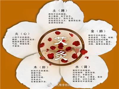 小儿推拿杨晓：湿气怎么来的，湿气重有哪些症状？常艾灸扶阳祛湿-小孩子湿气重艾灸哪个部位
