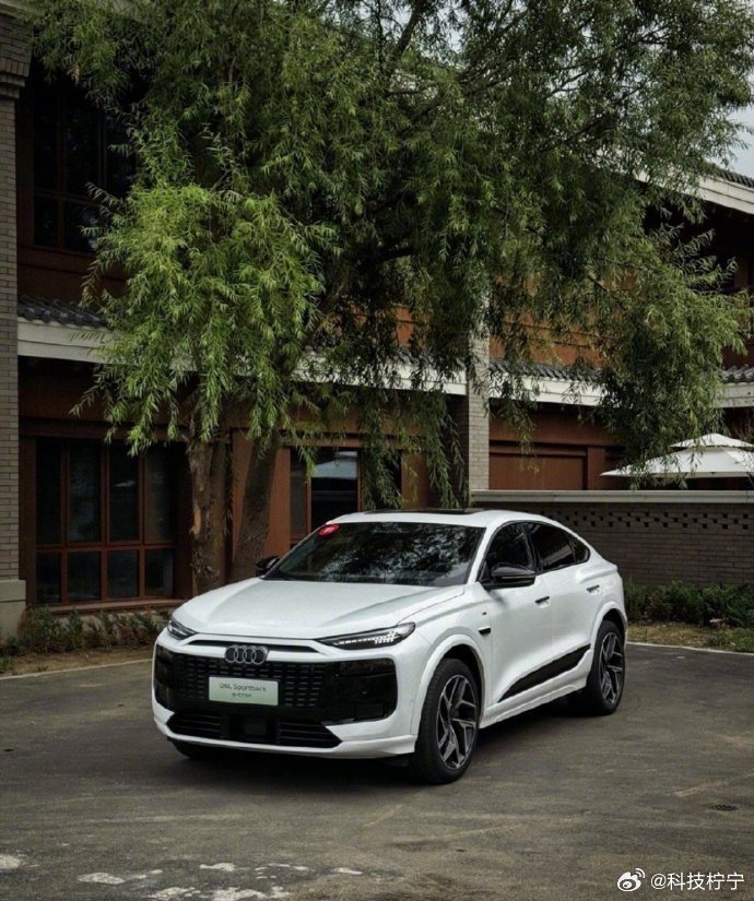 奥迪Q6L Sportback e-tron融合中德技术亮相