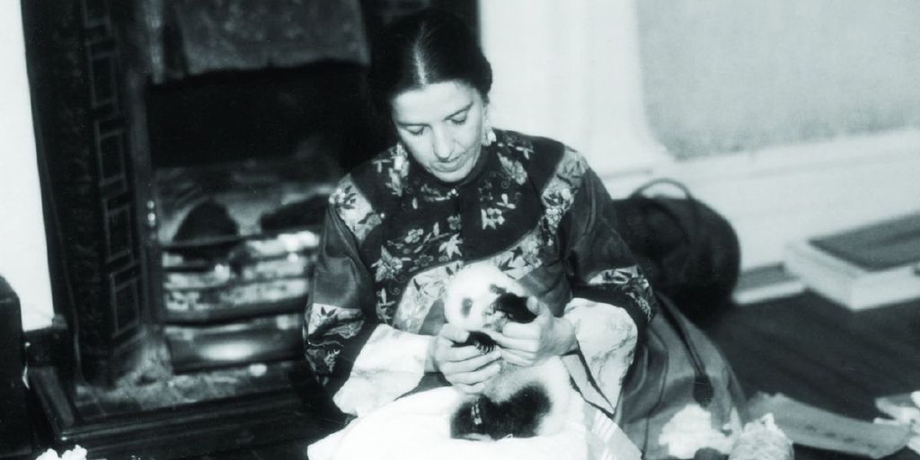 露丝哈克尼斯:2次来中国,偷运2只熊猫幼崽,却成西方带出熊猫第一人休闲区蓝鸢梦想 - Www.slyday.coM 露丝哈克尼斯:2次来中国,偷运2只熊猫幼崽,却成西方带出熊猫第一人休闲区蓝鸢梦想 - Www.slyday.coM