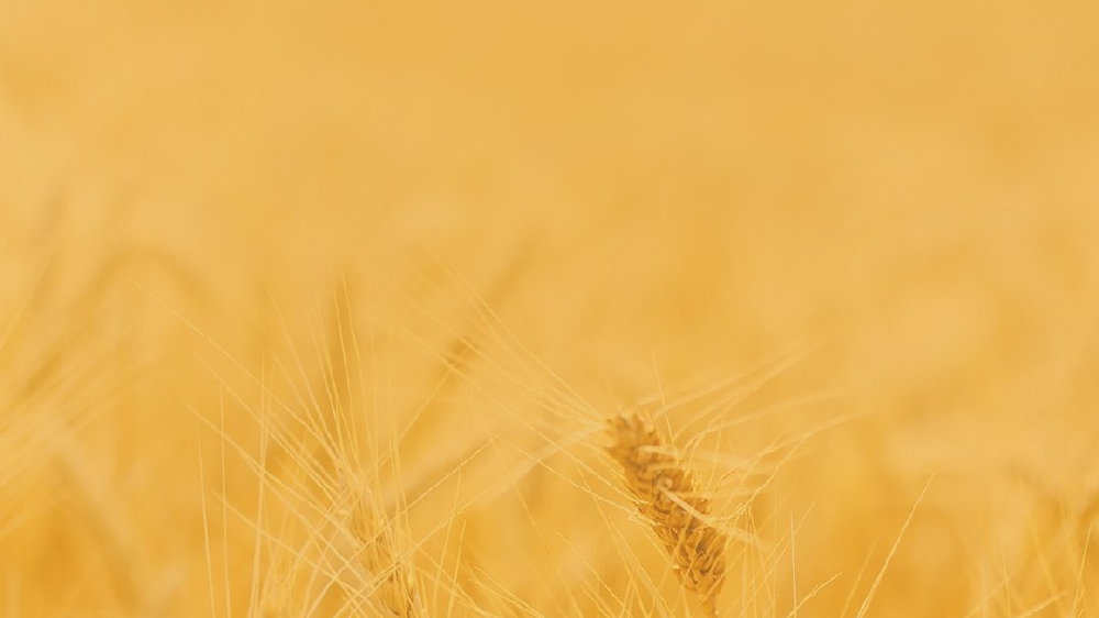 发挥表率作用，利真延保积极推动行业发展