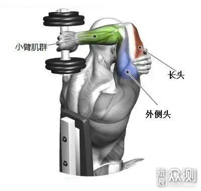 家用复合健身泛亚电竞器械天花板 疯拿铁FR-900P分享(图29)