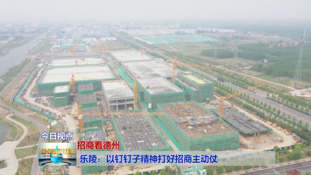 【招商看德州】乐陵：以钉钉子精神打好招商主动仗