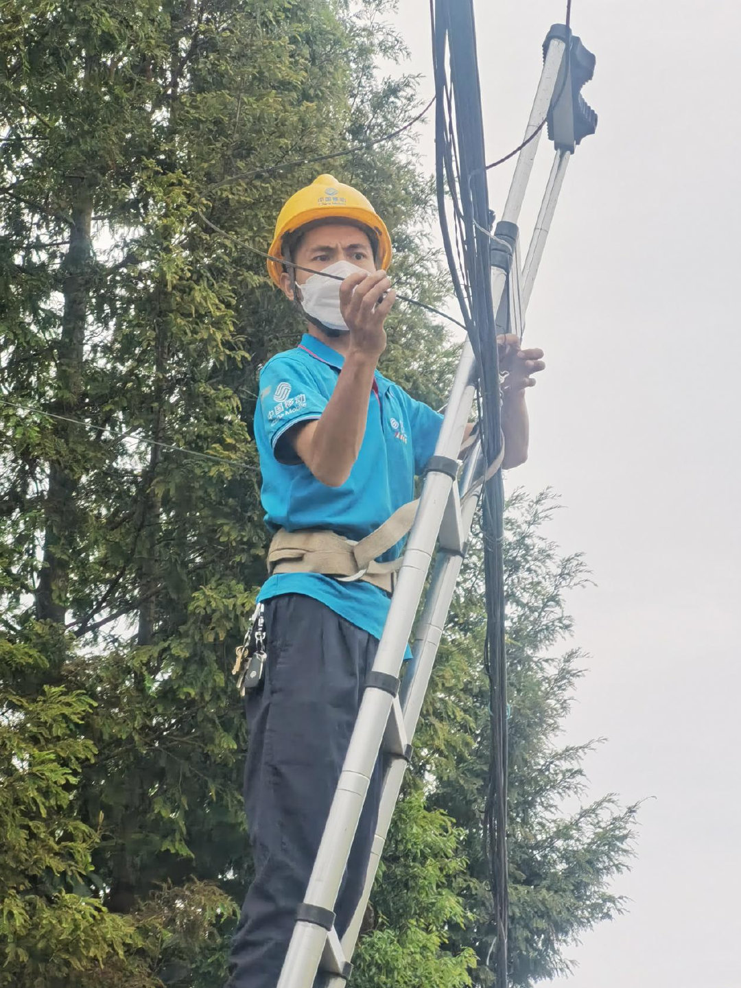 供卵医院(助成都复工复产“加速” 中国移动四川成都分公司做好“三个到位”)