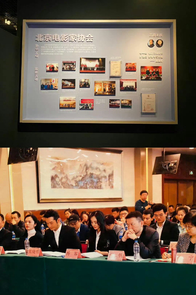 杨幂出任中国视协双新工作委员会副会长
