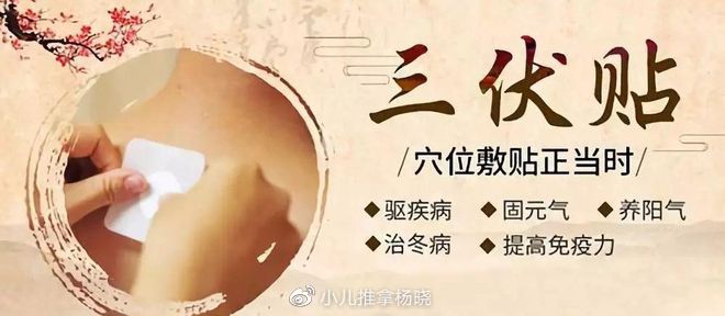 小儿推拿杨晓:冬病夏治三伏贴的原理、功效、适应症及贴敷禁忌! 小儿推拿杨晓:冬病夏治三伏贴的原理、功效、适应症及贴敷禁忌!
