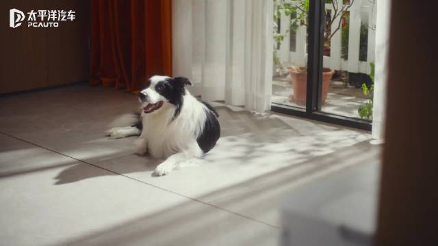 比亚迪2026款夏 人车家智慧生态圈 悦享美好生活