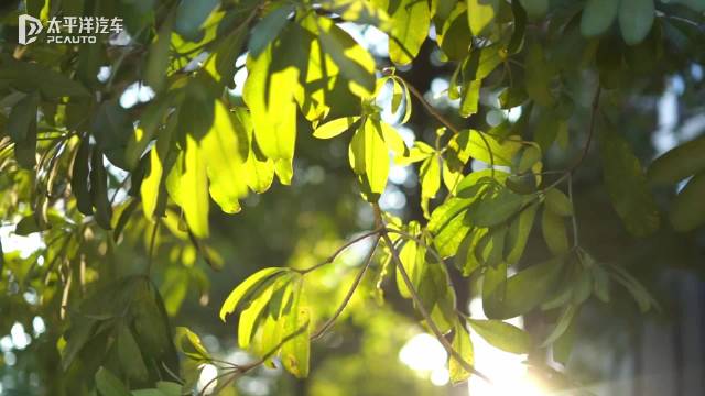 视频：开着比亚迪秦L EV跑南昆山是什么样的体验？简直不要太爽了