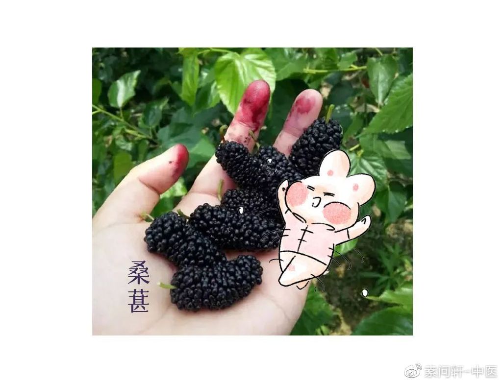 千万不要错过春天这个水果，补血明目消火气，还乌发养颜，不寒也不热休闲区蓝鸢梦想 - Www.slyday.coM