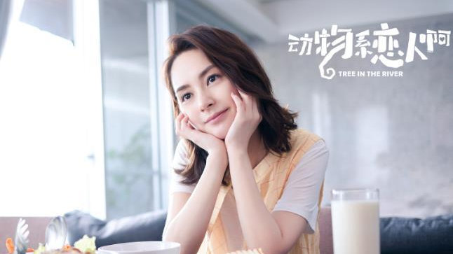 钟欣潼，主演的电视剧作品风格多样，展现演技实力