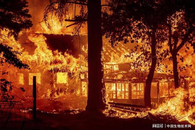 将消防员难以进入的偏远地区的房屋烧成灰烬,而其他许多场大火仍在