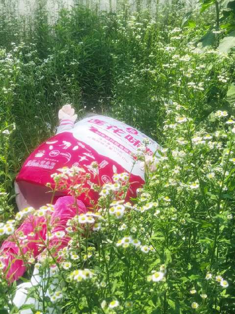 在莲花挣点钱全拍写真了，今天氛围感拉满