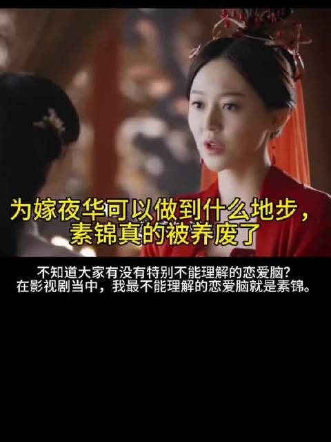 素锦为爱尽然做了这些？