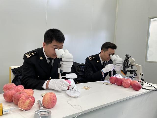 13.74吨！延安苹果首次出口<a href=