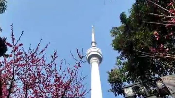 大年初一，龟山电视塔焕新重启，游玩攻略来了→